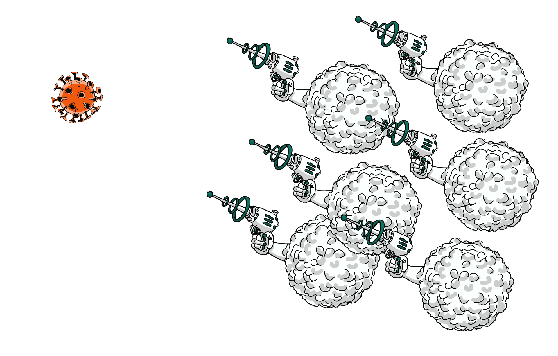 armée de globules blanc vs un virus